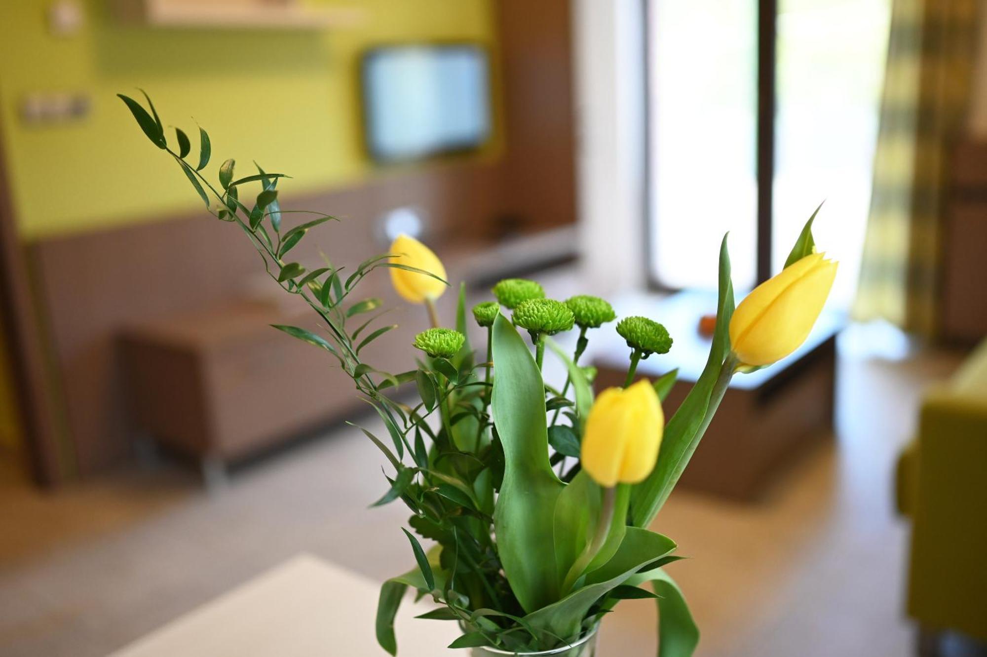 Hotel Jirinka Dolní Morava Buitenkant foto